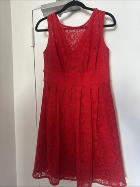 SD Collection Red Lace Sleeveless Dress